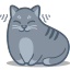N :